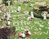 꽃으로 쓴 「테레사」