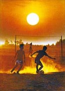 컬러 金賞‘시합’