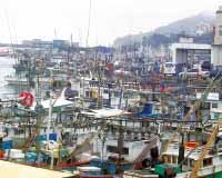 제주선박 2000척 긴급대피