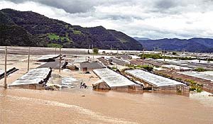 지붕만 남은 비닐하우스