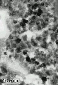 화성 운석 ALH84001에서 발견된 자철광 결정. 사진에서 검은 부분이다. 사진제공 NASA