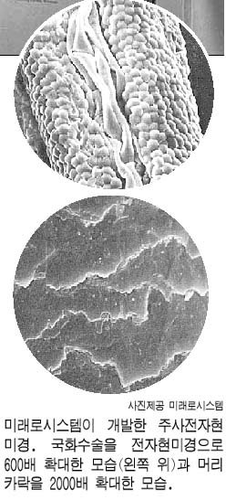 과학]`배율 20만배` 국산 전자현미경 나온다｜동아일보