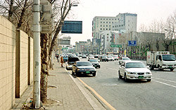 가장 많은 위반행위가 신고된 성수대교 남단 교차로