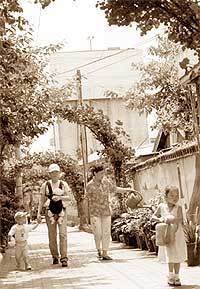 꽃냄새 가득한 동네가 된천호2동의 '장미마을'