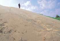 고운 모래가 해변에 쌓여 형성된신비한 모래언덕 사구