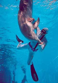 프리다이빙 가변웨이트종목 세계챔피언 지안루카 제노니가 바다 속에서 돌고래와 유영하고 있다.