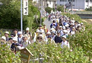 참가자들이 7일 일본 시즈오카현 가케가와시내를 줄지어 걷고 있다.