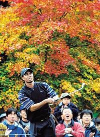 타이거 우즈가 EMC월드컵대회 1R 5번홀서 아이언티샷을 날린 뒤 걱정스런 표정으로 타구방향을 살피고 있다.