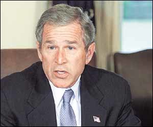 '1년만에 흰머리 늘었다'