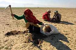 아프간 힘겨운 겨울나기