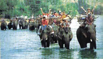 지난해 열린 창라이국제MTB대회 참가자들이 코끼리를 타고 태국-라오스국경인 요리사강을 건너며 환호하고있다.