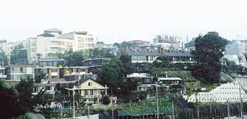 서울 용산구 한남동 일대의 빌라촌.