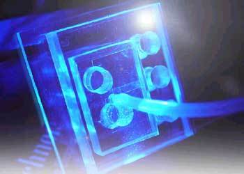 디지탈바이오테크놀로지가 개발한 플라스틱 '랩온어칩'