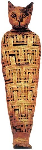 이집트 아비도스에서 발견된 고양이 미라