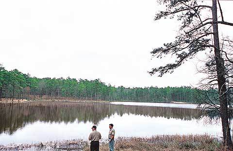샌드 힐스 주유림의 인공연못