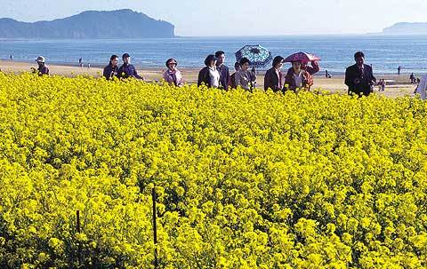 관광객들이 해변에 가득한 꽃향기를 맡으며 봄의 정취를 만끽하고 있다.