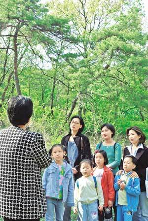 서울 은평구 서오릉 숲을 찾은 어린이들이 삼림욕의 효과에 대한 설명을 듣고 있다