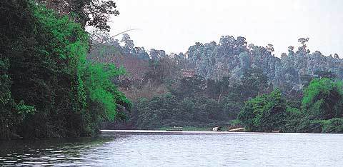 깟 띠엔 국립공원을 가르며 흐르는 동나이강에서 바라본 강변의 열대자연림[사진=김동주기자]