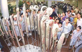 실제 인간의 시신을 수직으로 자른 플라스티네이션 표본[사진=전영한기자]