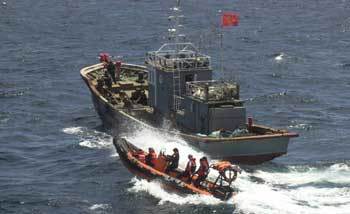 中어선 불법조업 단속 - 차준호기자