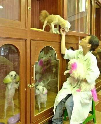 '휴가철에 우린 여기서 쉬어요' - 권주훈기자