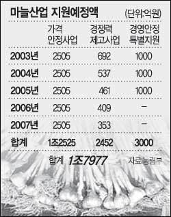 정책]마늘 9750억들여 年11만T 계약재배…농림부 밝혀｜동아일보