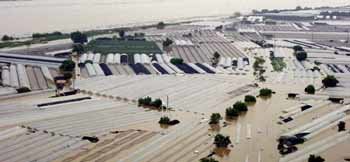 물에 잠긴 비닐하우스 - 부산연합