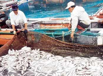 시름에 빠진 어민 - 여수연합