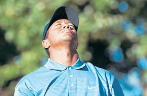 타이거 우즈가 제84회 미국PGA챔피언십 3라운드 17번홀에서 티샷을 실수한 직후 두 눈을 감은 채 고개를 쳐들며 안타까워하고 있다. 채스카로이터뉴시스