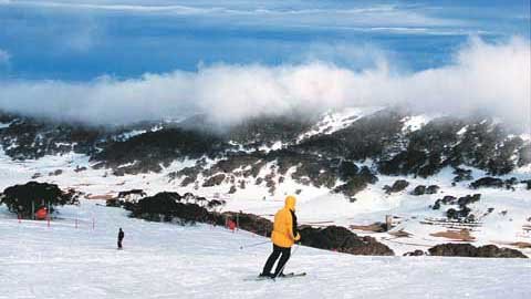 지금 한창 피크시즌을 맞은 ‘호주알프스’로 불리는 폴스크릭 스키장 풍경. 해발 1500m의 산 정상에 넓게 펼쳐진 설원은 눈덮인 모든 곳이 스키를 탈 수 있는 슬로프다.호주 빅토리아주 폴스크릭〓조성하기자 summer@donga.com