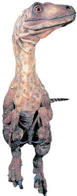 공룡의 ‘사촌형’뻘인 작고 재빠른 육식공룡 데이노니쿠스. 그러나 일부에서는 이런 공룡이 ‘날지 못하는 새’라고 주장한다. 사진제공 반스 앤 노블