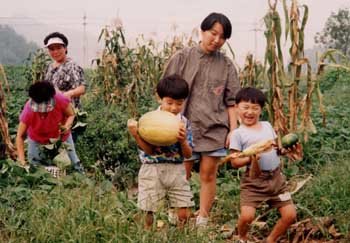 농장에서 호박과 옥수수등을 따며 즐거운 한 때를 보내고 있는 가족들. 동아일보 자료사진