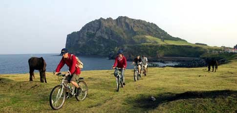 제주 성산 일출봉 근처의 초지를 자전거로 달리는 신혼 부부 손정수(맨앞) 한미숙씨(앞에서 두번째)와 대학생들. 이곳 근처에서 자전거를 배에 싣고 우도로 들어가 3시간 정도에 일주할 수 있다. 제주〓전영한기자