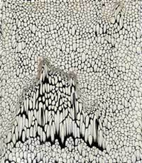 이린의 ‘삶 중에서’