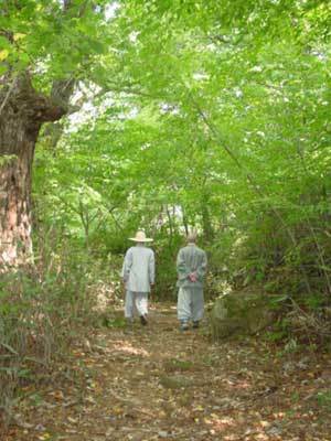 두 스님이 가을 숲길을 걷고 있다. 가을이 되면 출가를 결심하고 산사를 찾는 사람들이 더 많아진다. 사진제공 현진스님