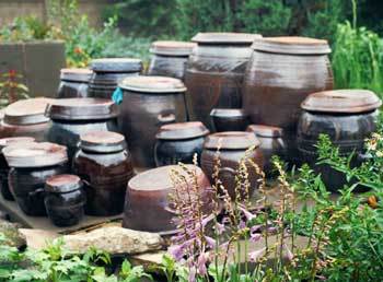 작가 문순태씨는 “된장맛은 신념이나 선택의 문제가 아니라, 관용과 포용의 미학”이라고 말한다. 사진은 시골의 장독대. 동아일보 자료사진