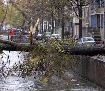 27일 서유럽에 몰아닥친 강풍으로 네덜란드 암스테르담에서 나무가 뿌리 뽑힌 채 운하에 걸쳐져 있다. - 암스테르담(네덜란드)AP연합