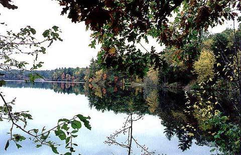소로우는 월든 호수가에서 2년 동안 홀로 지냈다. 그는 ‘월든’을 통해 자연을 예찬하며 동시에 문명사회에 대해 통렬하게 비판했다./동아일보 자료사진