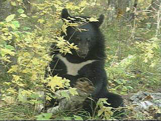 동아일보 자료사진