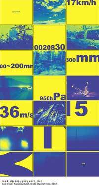 이부록, ‘태풀 루사 싱글 채널 비디오’/사진제공 일주아트하우스