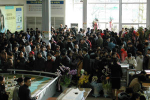 조합 부실과 건축비 인상으로 외면을 받았던 조합아파트가 다시 인기를 끌고 있다. 최근 동문건설이 경기 구리시 인창동에 짓는 조합아파트에는 267가구에 4600여명이 몰려 평균 17대 1의 경쟁률을 기록했다.사진제공 동문건설