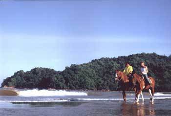 보르네오섬의 코타키나발루에 있는 샹그릴라 라사리아 리조트에서 즐기는 해변승마./사진제공 샹그릴라 호텔 앤 리조트