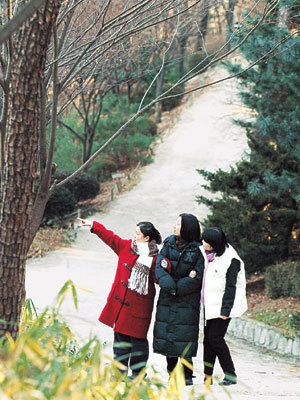 서울 동대문구 청량리2동 홍릉수목원을 찾은 시민들이 숲길에서 수목원의 겨울 정취를 만끽하고 있다.강병기기자