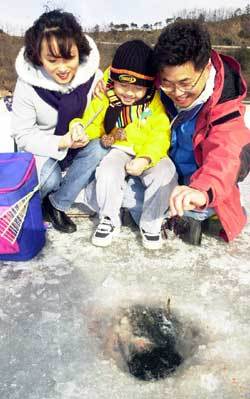 겨울철 이색 가족나들이로 얼음에 구멍을 뚫고 하는 빙어낚시가 인기를 끌고 있다. 한 가족이 얼음구덩이에서 낚시줄에 달려나오는 빙어를 보며 즐거워하고 있다.  동아일보 자료사진