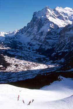 거대한 아이거 북벽 아래 눈부시게 빛나는 거대한 설원. 스위스 융프라우 지역 스키장의 추겐산 아래 슬로프. 조성하기자