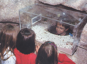 라빌레트 과학관에서 어린이들이 곤충을 관찰하며 즐거워하고 있다. -사진제공 라빌레트과학관