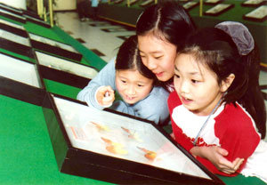 롯데월드 '세계 희귀 곤충전'