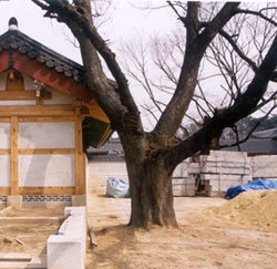 사진제공 문화재청