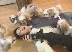 ‘TV동물농장’ 100회 특집에서 가수 고영욱이 키우는 개들과 어울리고 있는 신동엽 사진제공 SBS