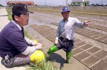 1일 부산 강서구 명지동 들녘에서 농민 박운학씨(왼쪽)와 이상우씨가 자신들의 논을 바라보며 인건비 및 농자재 가격 인상 등에 대해 얘기를 나누고 있다. -부산=최재호기자